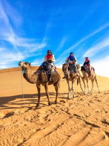 Riding camels in the Sahara Desert